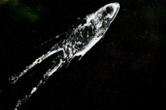 A_DSC3788-BWOriginal-5x4-Densite-lineaire1200-scaled
