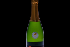 A_CAP3874-Trahan-Bulles-fond-noir-1200